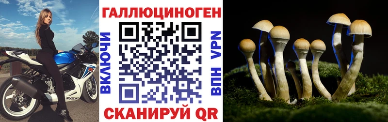 Галлюциногенные грибы ЛСД  ссылка на мегу зеркало  Владикавказ 