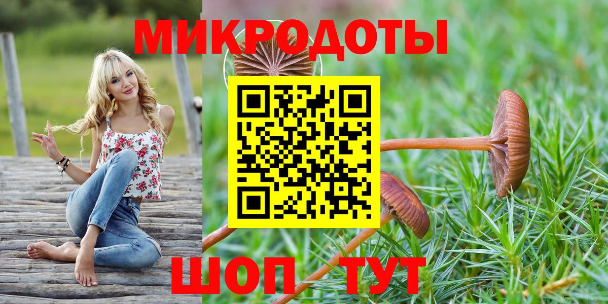 где найти   Вход с VPN  Владикавказ  Псилоцибиновые грибы Cubensis  Псилоцибиновые грибы Psilocybe 